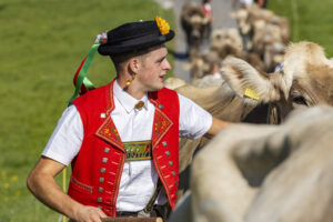 Appenzell, Appenzell Ausserrohden, Appenzeller Hinterland, Brauchtum, Landwirtschaft, Ostschweiz, Schweiz, Stein, Suisse, Switzerland, Tracht, Viehschau, Wirtschaft, tradition