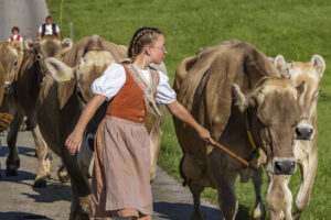 Appenzell, Appenzell Ausserrohden, Appenzeller Hinterland, Brauchtum, Landwirtschaft, Ostschweiz, Schweiz, Stein, Suisse, Switzerland, Tracht, Viehschau, Wirtschaft, tradition