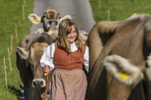 Appenzell, Appenzell Ausserrohden, Appenzeller Hinterland, Brauchtum, Landwirtschaft, Ostschweiz, Schweiz, Stein, Suisse, Switzerland, Tracht, Viehschau, Wirtschaft, tradition