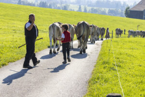 Appenzell, Appenzell Ausserrohden, Appenzeller Hinterland, Brauchtum, Landwirtschaft, Ostschweiz, Schweiz, Stein, Suisse, Switzerland, Tracht, Viehschau, Wirtschaft, tradition