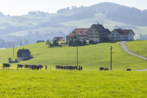 Appenzell, Appenzell Ausserrohden, Appenzeller Hinterland, Brauchtum, Landwirtschaft, Ostschweiz, Schweiz, Stein, Suisse, Switzerland, Tracht, Viehschau, Wirtschaft, tradition