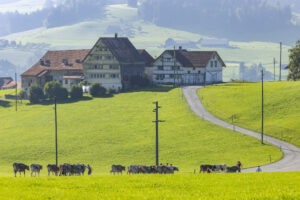 Appenzell, Appenzell Ausserrohden, Appenzeller Hinterland, Brauchtum, Landwirtschaft, Ostschweiz, Schweiz, Stein, Suisse, Switzerland, Tracht, Viehschau, Wirtschaft, tradition