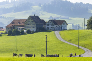 Appenzell, Appenzell Ausserrohden, Appenzeller Hinterland, Brauchtum, Landwirtschaft, Ostschweiz, Schweiz, Stein, Suisse, Switzerland, Tracht, Viehschau, Wirtschaft, tradition