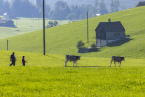 Appenzell, Appenzell Ausserrohden, Appenzeller Hinterland, Brauchtum, Landwirtschaft, Ostschweiz, Schweiz, Stein, Suisse, Switzerland, Tracht, Viehschau, Wirtschaft, tradition