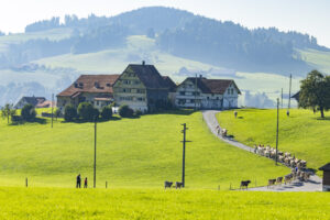 Appenzell, Appenzell Ausserrohden, Appenzeller Hinterland, Brauchtum, Landwirtschaft, Ostschweiz, Schweiz, Stein, Suisse, Switzerland, Tracht, Viehschau, Wirtschaft, tradition