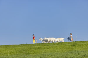 Appenzell, Appenzell Ausserrohden, Appenzeller Hinterland, Brauchtum, Landwirtschaft, Ostschweiz, Schweiz, Stein, Suisse, Switzerland, Tracht, Viehschau, Wirtschaft, tradition