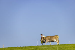 Appenzell, Appenzell Ausserrohden, Appenzeller Hinterland, Brauchtum, Landwirtschaft, Ostschweiz, Schweiz, Stein, Suisse, Switzerland, Tracht, Viehschau, Wirtschaft, tradition