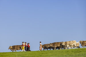 Appenzell, Appenzell Ausserrohden, Appenzeller Hinterland, Brauchtum, Landwirtschaft, Ostschweiz, Schweiz, Stein, Suisse, Switzerland, Tracht, Viehschau, Wirtschaft, tradition