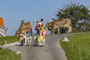 Appenzell, Appenzell Ausserrohden, Appenzeller Hinterland, Brauchtum, Landwirtschaft, Ostschweiz, Schweiz, Stein, Suisse, Switzerland, Tracht, Viehschau, Wirtschaft, tradition