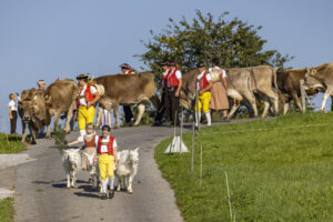 Appenzell, Appenzell Ausserrohden, Appenzeller Hinterland, Brauchtum, Landwirtschaft, Ostschweiz, Schweiz, Stein, Suisse, Switzerland, Tracht, Viehschau, Wirtschaft, tradition
