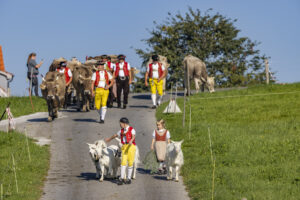 Appenzell, Appenzell Ausserrohden, Appenzeller Hinterland, Brauchtum, Landwirtschaft, Ostschweiz, Schweiz, Stein, Suisse, Switzerland, Tracht, Viehschau, Wirtschaft, tradition