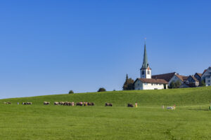 Appenzell, Appenzell Ausserrohden, Appenzeller Hinterland, Brauchtum, Landwirtschaft, Ostschweiz, Schweiz, Stein, Suisse, Switzerland, Tracht, Viehschau, Wirtschaft, tradition