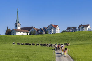 Appenzell, Appenzell Ausserrohden, Appenzeller Hinterland, Brauchtum, Landwirtschaft, Ostschweiz, Schweiz, Stein, Suisse, Switzerland, Tracht, Viehschau, Wirtschaft, tradition