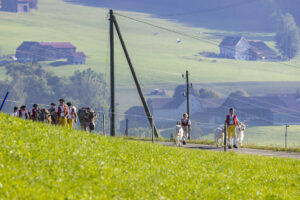 Appenzell, Appenzell Ausserrohden, Appenzeller Hinterland, Brauchtum, Landwirtschaft, Ostschweiz, Schweiz, Stein, Suisse, Switzerland, Tracht, Viehschau, Wirtschaft, tradition