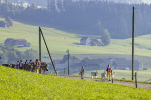 Appenzell, Appenzell Ausserrohden, Appenzeller Hinterland, Brauchtum, Landwirtschaft, Ostschweiz, Schweiz, Stein, Suisse, Switzerland, Tracht, Viehschau, Wirtschaft, tradition