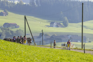 Appenzell, Appenzell Ausserrohden, Appenzeller Hinterland, Brauchtum, Landwirtschaft, Ostschweiz, Schweiz, Stein, Suisse, Switzerland, Tracht, Viehschau, Wirtschaft, tradition