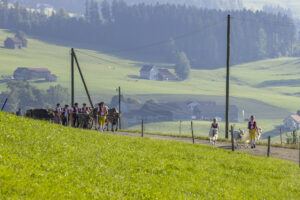 Appenzell, Appenzell Ausserrohden, Appenzeller Hinterland, Brauchtum, Landwirtschaft, Ostschweiz, Schweiz, Stein, Suisse, Switzerland, Tracht, Viehschau, Wirtschaft, tradition