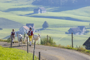 Appenzell, Appenzell Ausserrohden, Appenzeller Hinterland, Brauchtum, Landwirtschaft, Ostschweiz, Schweiz, Stein, Suisse, Switzerland, Tracht, Viehschau, Wirtschaft, tradition