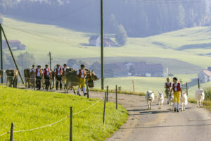 Appenzell, Appenzell Ausserrohden, Appenzeller Hinterland, Brauchtum, Landwirtschaft, Ostschweiz, Schweiz, Stein, Suisse, Switzerland, Tracht, Viehschau, Wirtschaft, tradition