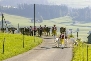 Appenzell, Appenzell Ausserrohden, Appenzeller Hinterland, Brauchtum, Landwirtschaft, Ostschweiz, Schweiz, Stein, Suisse, Switzerland, Tracht, Viehschau, Wirtschaft, tradition