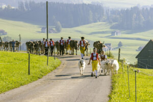 Appenzell, Appenzell Ausserrohden, Appenzeller Hinterland, Brauchtum, Landwirtschaft, Ostschweiz, Schweiz, Stein, Suisse, Switzerland, Tracht, Viehschau, Wirtschaft, tradition