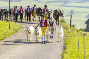 Appenzell, Appenzell Ausserrohden, Appenzeller Hinterland, Brauchtum, Landwirtschaft, Ostschweiz, Schweiz, Stein, Suisse, Switzerland, Tracht, Viehschau, Wirtschaft, tradition