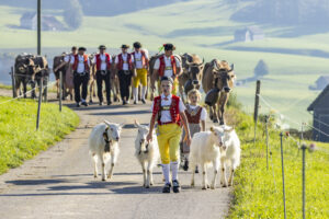 Appenzell, Appenzell Ausserrohden, Appenzeller Hinterland, Brauchtum, Landwirtschaft, Ostschweiz, Schweiz, Stein, Suisse, Switzerland, Tracht, Viehschau, Wirtschaft, tradition