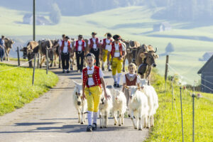Appenzell, Appenzell Ausserrohden, Appenzeller Hinterland, Brauchtum, Landwirtschaft, Ostschweiz, Schweiz, Stein, Suisse, Switzerland, Tracht, Viehschau, Wirtschaft, tradition