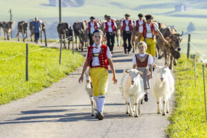 Appenzell, Appenzell Ausserrohden, Appenzeller Hinterland, Brauchtum, Landwirtschaft, Ostschweiz, Schweiz, Stein, Suisse, Switzerland, Tracht, Viehschau, Wirtschaft, tradition