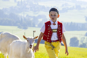 Appenzell, Appenzell Ausserrohden, Appenzeller Hinterland, Brauchtum, Landwirtschaft, Ostschweiz, Schweiz, Stein, Suisse, Switzerland, Tracht, Viehschau, Wirtschaft, tradition