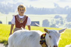 Appenzell, Appenzell Ausserrohden, Appenzeller Hinterland, Brauchtum, Landwirtschaft, Ostschweiz, Schweiz, Stein, Suisse, Switzerland, Tracht, Viehschau, Wirtschaft, tradition