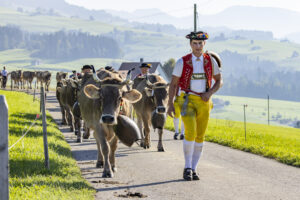 Appenzell, Appenzell Ausserrohden, Appenzeller Hinterland, Brauchtum, Landwirtschaft, Ostschweiz, Schweiz, Stein, Suisse, Switzerland, Tracht, Viehschau, Wirtschaft, tradition