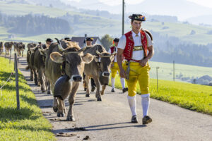 Appenzell, Appenzell Ausserrohden, Appenzeller Hinterland, Brauchtum, Landwirtschaft, Ostschweiz, Schweiz, Stein, Suisse, Switzerland, Tracht, Viehschau, Wirtschaft, tradition