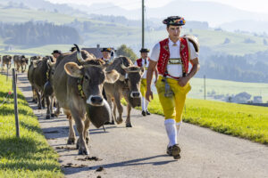 Appenzell, Appenzell Ausserrohden, Appenzeller Hinterland, Brauchtum, Landwirtschaft, Ostschweiz, Schweiz, Stein, Suisse, Switzerland, Tracht, Viehschau, Wirtschaft, tradition