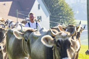 Appenzell, Appenzell Ausserrohden, Appenzeller Hinterland, Brauchtum, Landwirtschaft, Ostschweiz, Schweiz, Stein, Suisse, Switzerland, Tracht, Viehschau, Wirtschaft, tradition