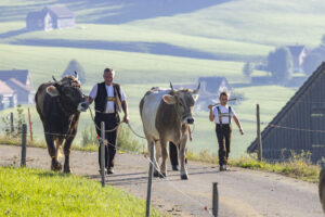 Appenzell, Appenzell Ausserrohden, Appenzeller Hinterland, Brauchtum, Landwirtschaft, Ostschweiz, Schweiz, Stein, Suisse, Switzerland, Tracht, Viehschau, Wirtschaft, tradition