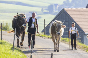 Appenzell, Appenzell Ausserrohden, Appenzeller Hinterland, Brauchtum, Landwirtschaft, Ostschweiz, Schweiz, Stein, Suisse, Switzerland, Tracht, Viehschau, Wirtschaft, tradition