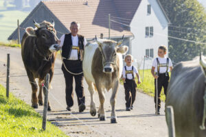 Appenzell, Appenzell Ausserrohden, Appenzeller Hinterland, Brauchtum, Landwirtschaft, Ostschweiz, Schweiz, Stein, Suisse, Switzerland, Tracht, Viehschau, Wirtschaft, tradition