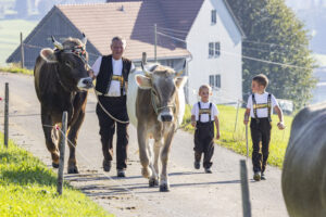 Appenzell, Appenzell Ausserrohden, Appenzeller Hinterland, Brauchtum, Landwirtschaft, Ostschweiz, Schweiz, Stein, Suisse, Switzerland, Tracht, Viehschau, Wirtschaft, tradition