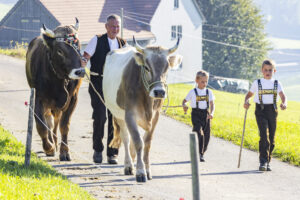 Appenzell, Appenzell Ausserrohden, Appenzeller Hinterland, Brauchtum, Landwirtschaft, Ostschweiz, Schweiz, Stein, Suisse, Switzerland, Tracht, Viehschau, Wirtschaft, tradition