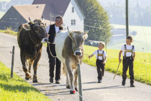 Appenzell, Appenzell Ausserrohden, Appenzeller Hinterland, Brauchtum, Landwirtschaft, Ostschweiz, Schweiz, Stein, Suisse, Switzerland, Tracht, Viehschau, Wirtschaft, tradition
