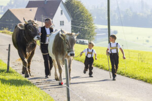 Appenzell, Appenzell Ausserrohden, Appenzeller Hinterland, Brauchtum, Landwirtschaft, Ostschweiz, Schweiz, Stein, Suisse, Switzerland, Tracht, Viehschau, Wirtschaft, tradition