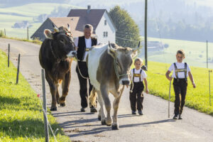 Appenzell, Appenzell Ausserrohden, Appenzeller Hinterland, Brauchtum, Landwirtschaft, Ostschweiz, Schweiz, Stein, Suisse, Switzerland, Tracht, Viehschau, Wirtschaft, tradition