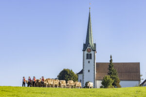 Appenzell, Appenzell Ausserrohden, Appenzeller Hinterland, Brauchtum, Landwirtschaft, Ostschweiz, Schweiz, Stein, Suisse, Switzerland, Tracht, Viehschau, Wirtschaft, tradition