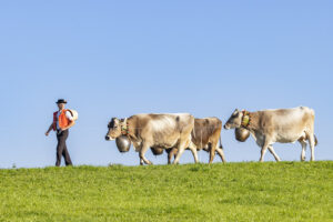 Appenzell, Appenzell Ausserrohden, Appenzeller Hinterland, Brauchtum, Landwirtschaft, Ostschweiz, Schweiz, Stein, Suisse, Switzerland, Tracht, Viehschau, Wirtschaft, tradition