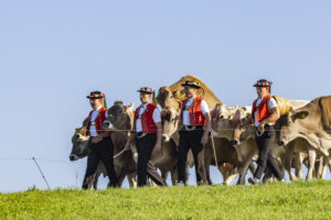 Appenzell, Appenzell Ausserrohden, Appenzeller Hinterland, Brauchtum, Landwirtschaft, Ostschweiz, Schweiz, Stein, Suisse, Switzerland, Tracht, Viehschau, Wirtschaft, tradition