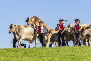 Appenzell, Appenzell Ausserrohden, Appenzeller Hinterland, Brauchtum, Landwirtschaft, Ostschweiz, Schweiz, Stein, Suisse, Switzerland, Tracht, Viehschau, Wirtschaft, tradition