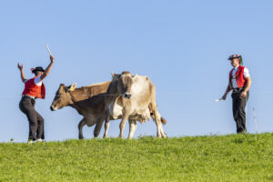 Appenzell, Appenzell Ausserrohden, Appenzeller Hinterland, Brauchtum, Landwirtschaft, Ostschweiz, Schweiz, Stein, Suisse, Switzerland, Tracht, Viehschau, Wirtschaft, tradition