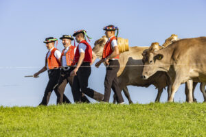 Appenzell, Appenzell Ausserrohden, Appenzeller Hinterland, Brauchtum, Landwirtschaft, Ostschweiz, Schweiz, Stein, Suisse, Switzerland, Tracht, Viehschau, Wirtschaft, tradition