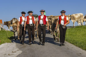 Appenzell, Appenzell Ausserrohden, Appenzeller Hinterland, Brauchtum, Landwirtschaft, Ostschweiz, Schweiz, Stein, Suisse, Switzerland, Tracht, Viehschau, Wirtschaft, tradition